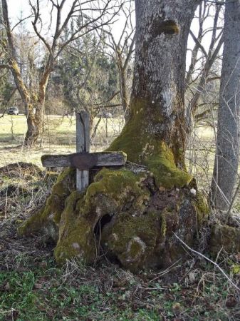 krzyż w objęciach korzeni starego drzewa - świadka dziejów, czy tam był cmentarzyk wojenny jeszcze po walkach I-szej w.św. - tak by wynikało z plakiety ale ? -