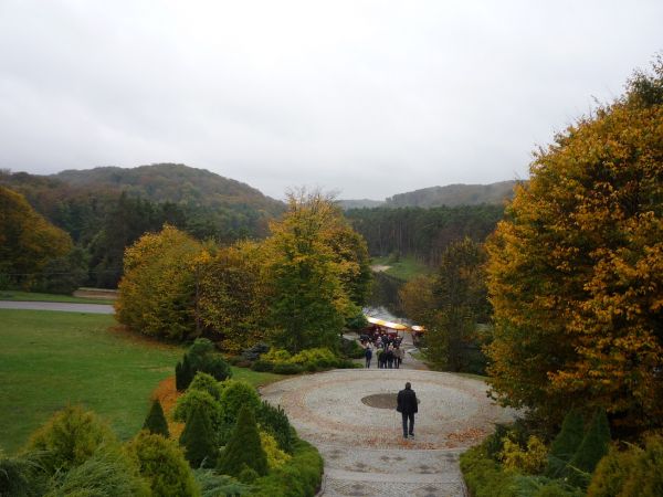 Złoty Potok.Widok z Hotelu Kmicic.W głębi Staw Amerykan.