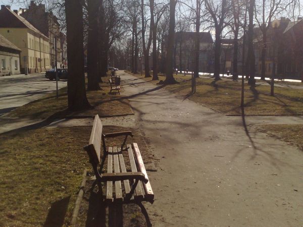 Planty -Iść w stronę słońca ;-)