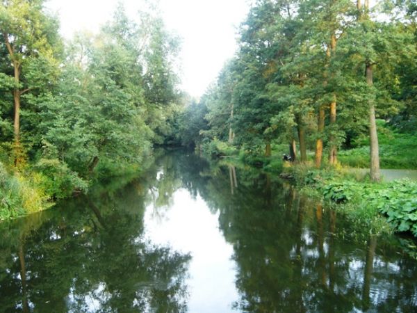 zdjecie Lidzbark Warmiński