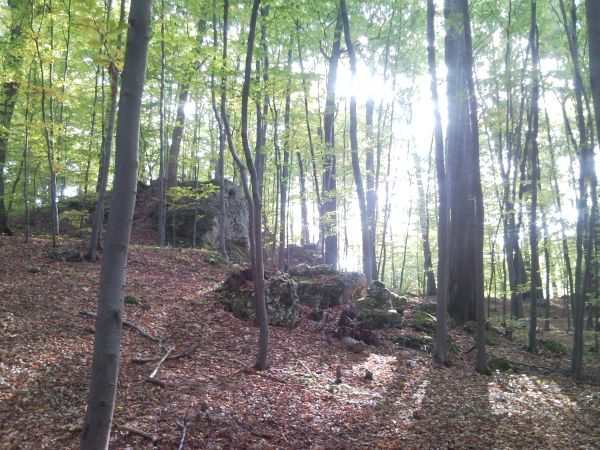 zdjecie Złoty Potok