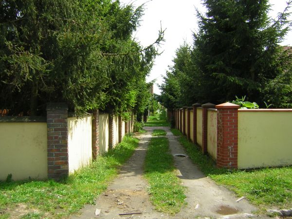 zdjecie Sulechów