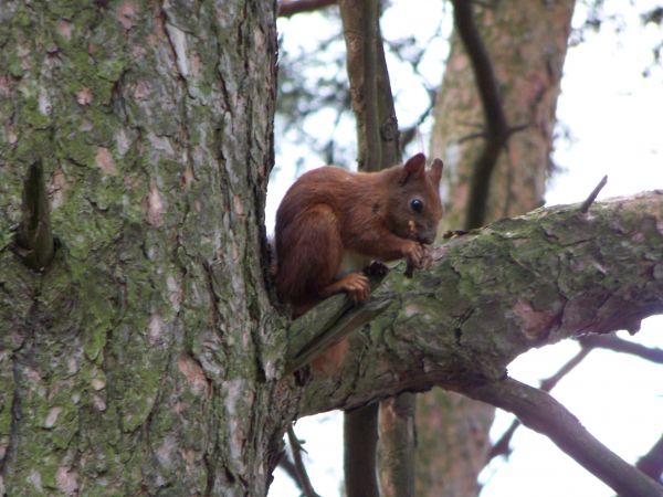 To znowu ja - 12-06-2011