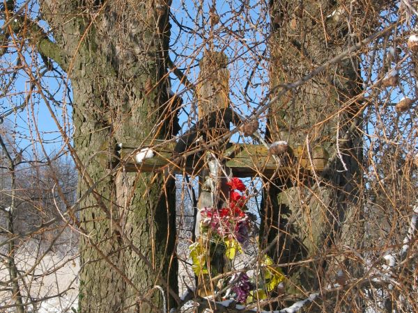 Przy drodze na Dębną, w sąsiedztwie opuszczonego domu Królikowskich, stoi dębowy krzyż.