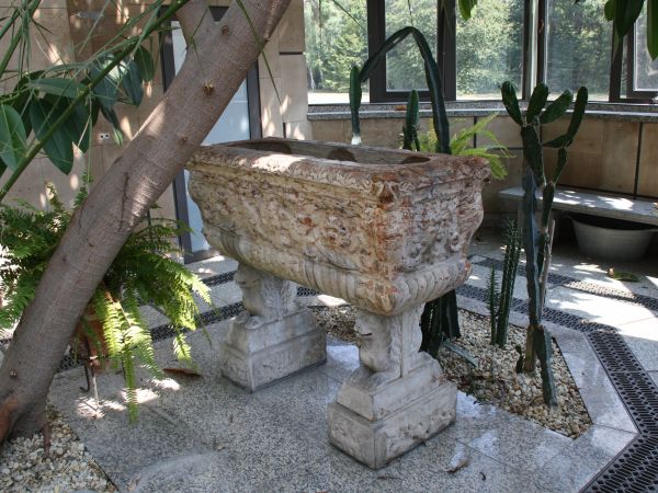 w palmiarni zamkowej - jakoś tak ?... nie wszystko od razu !