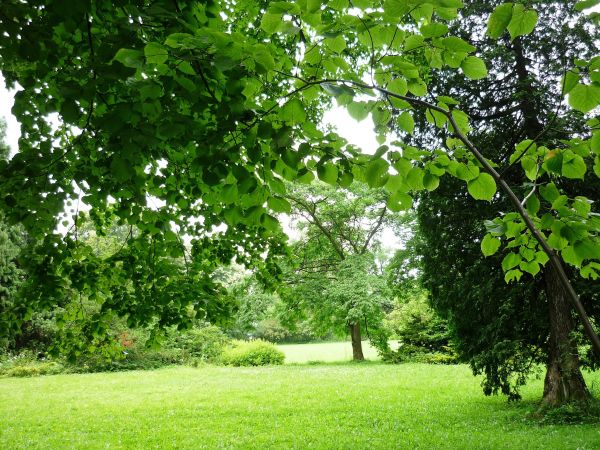 Jedna z najpiękniejszych rezydencji pałacowych w Polsce. Położona 10 km na południe od Przemyśla.  Zamek - pałac powstał w XVI wieku.  Przez kolejne lata rozbud