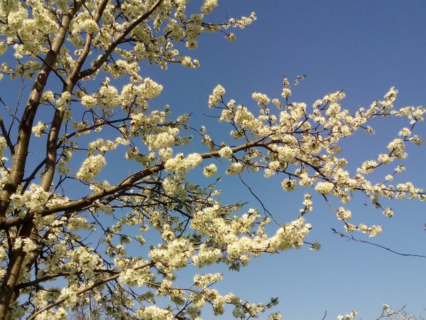 Wiosna w Wielką Sobotę.