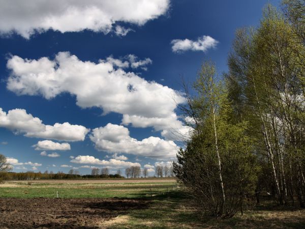 zdjecie Tyniewicze Duże