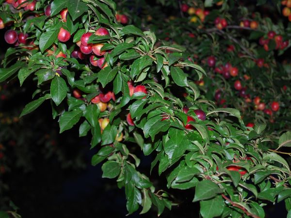 Zdjecie w nocy Droblin