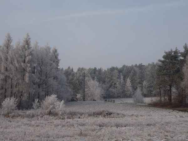 Harbutowice. Przełęcz Sanguszki(jeszcze nie zabudowana).Krzyż Konfederatów Barskich. Zima 2012.