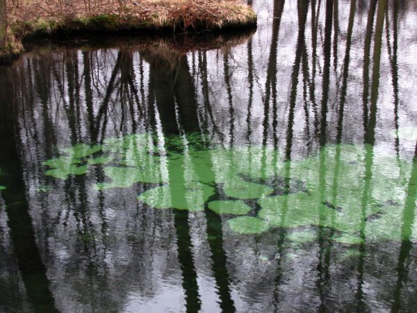 zdjecie Tomaszów Mazowiecki