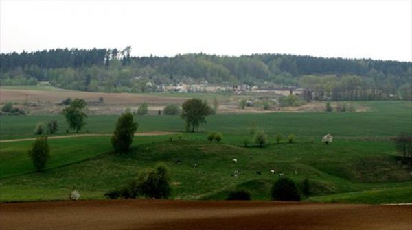 zdjecie Widryny