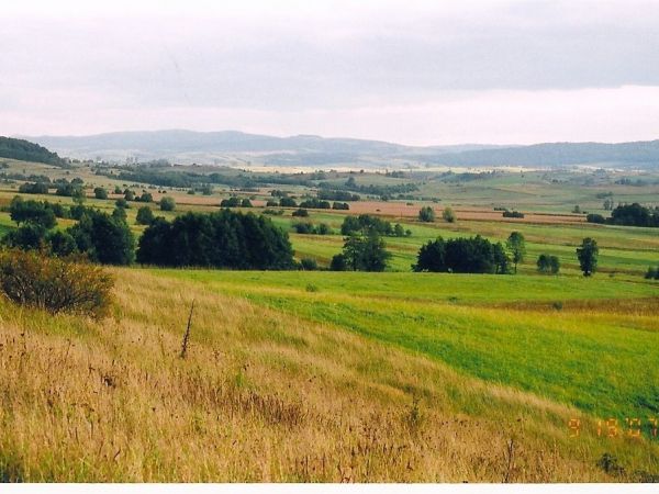 Fot. Szczepan Żyłka