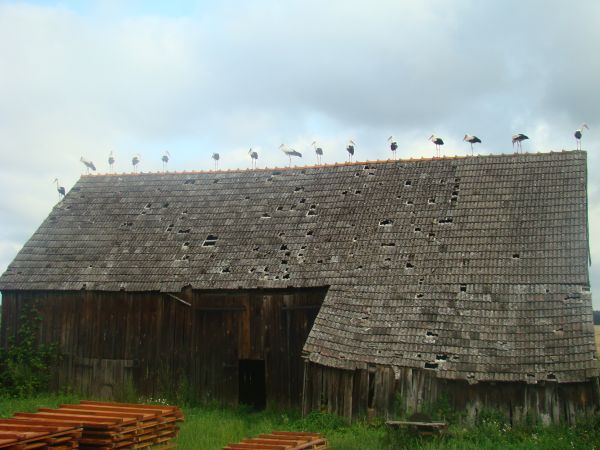 U SĄSIADA ZAPACHNIAŁO PRZYROSTEM NATURALNYM
 24.07.2009 o godz. 7.05