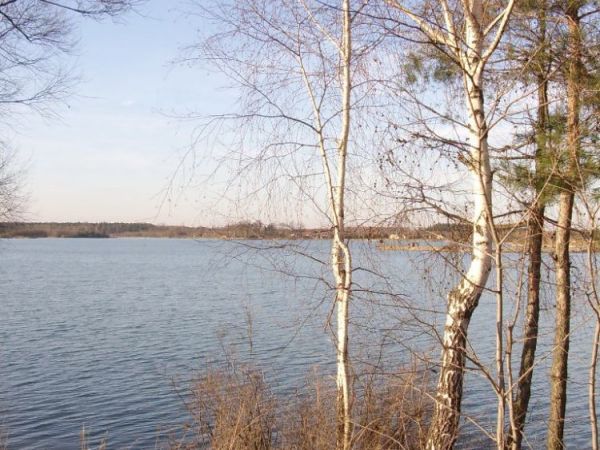 zdjecie Wierzchosławice