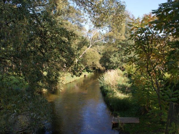 Szwecja - październik 2010