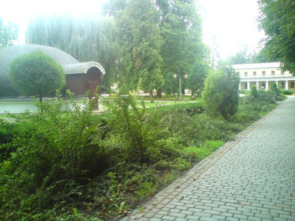 Park Zdrojowy