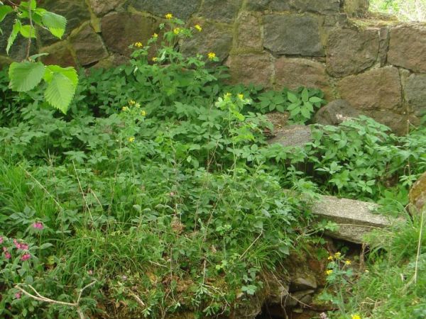 Resztki starego grobu położonego nad stawem w parku, okolonego pięknym murem. Prawdopodobnie jest to romantyczne miejsce pochówku kogoś z Dworu w Smokowie, kto