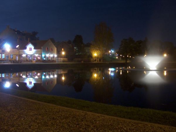 Staw Magistracki przy ulicy Warszawskiej