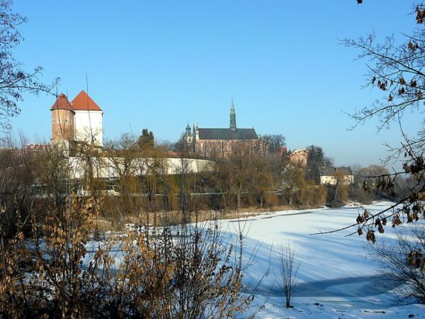 Zima 2009