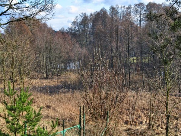 Łąki nad rzeką Wdą położone poniżej budynku Urzędu Miasta