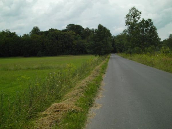 zdjecie Orłów Murowany