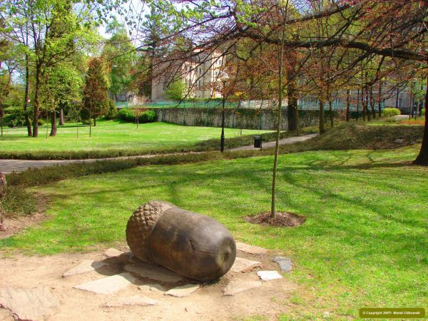 zdjecie Duszniki-Zdrój