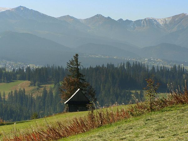 Gliczarów Dolny - widok na Tatry II