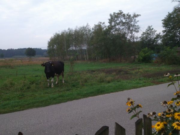 zdjecie Pieczyska Łowickie