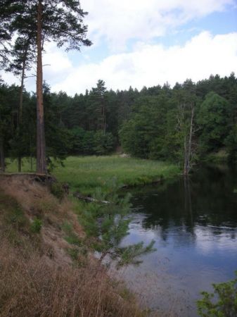 Piekne zbocze nad rzeka Wda