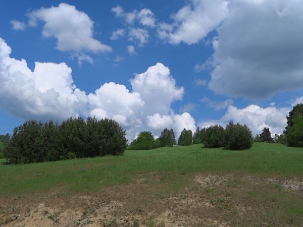 remizy śródpolne, zagony i pastwiska - do niedawna w użytkowaniu PGR-u a od niedawna - własność prywatna.