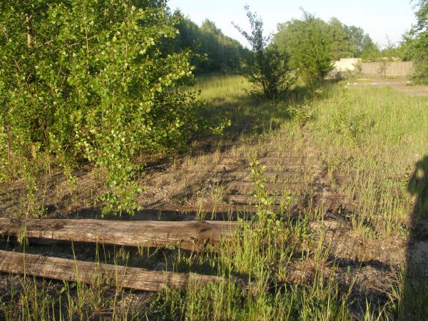 Zdewastowana fabryka domów ul. Północnej   fot.  12  Byłe torowisko