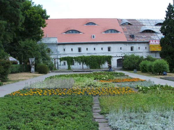 zdjecie Toruń