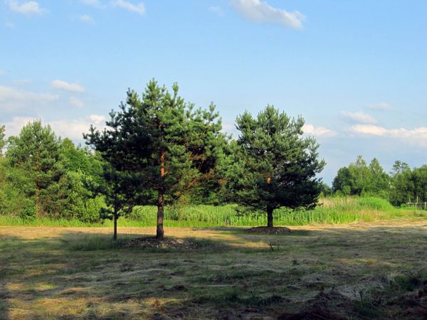 "U Krystyny" w Lubikach Małych