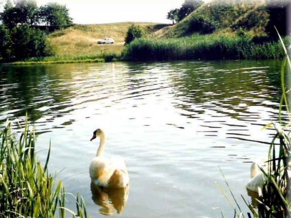 Świniarski Okop od strony Jeziora Zwiniarz