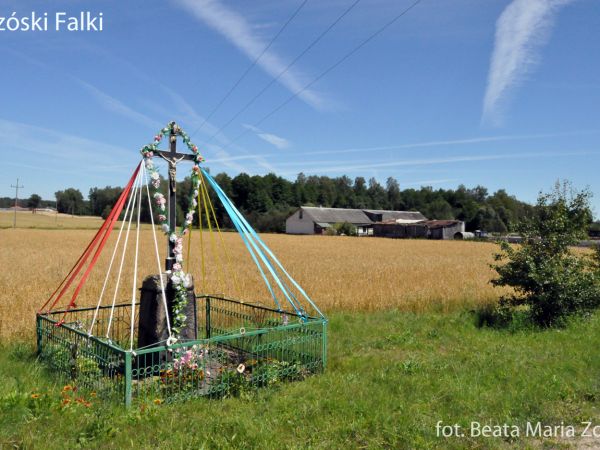 Zdjęcia Brzóski-Falki