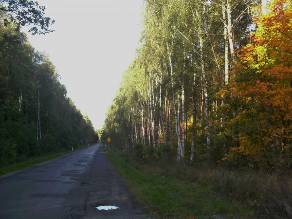 A w Gródku już jesień