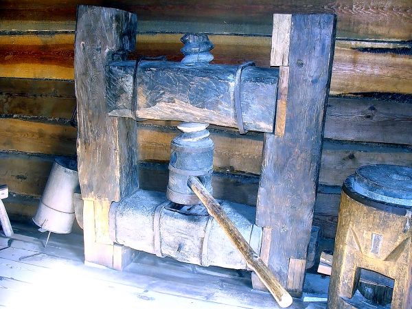 Skansen w Nowogrodzie.