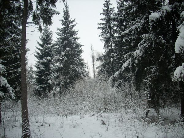 zdjecie Piłatowszczyzna