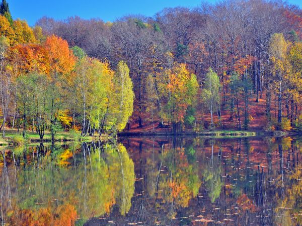 zdjecie Wodzisław Śląski