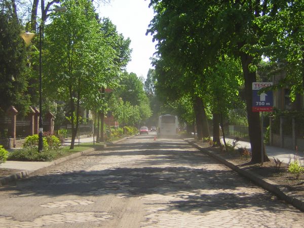 zdjecie Sulechów