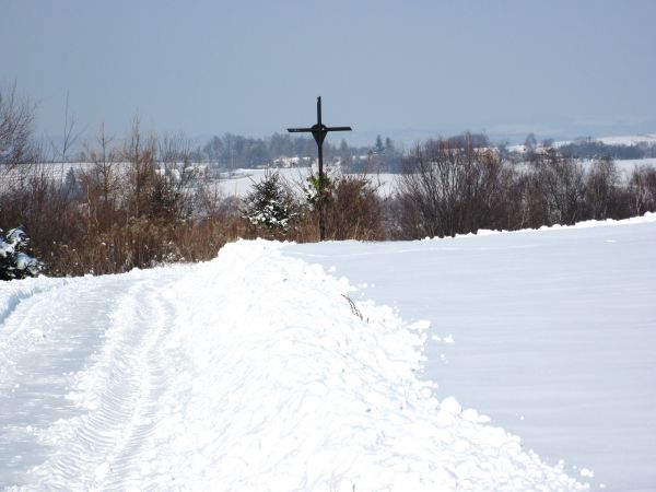 Zima 2010 w krajobrazie