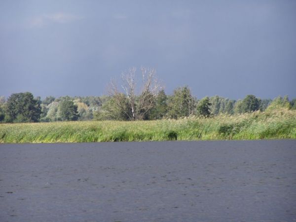 W Gzowie są jeszcze takie miejsca...
to tylko 1 km od uczęszczanej trasy do Warszawy...