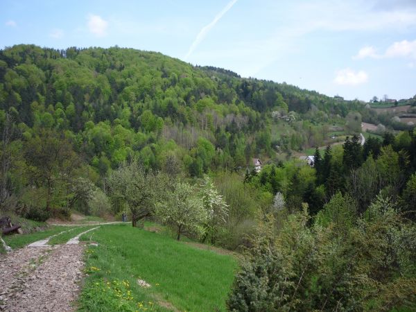 Widok na Kijową Górę.
