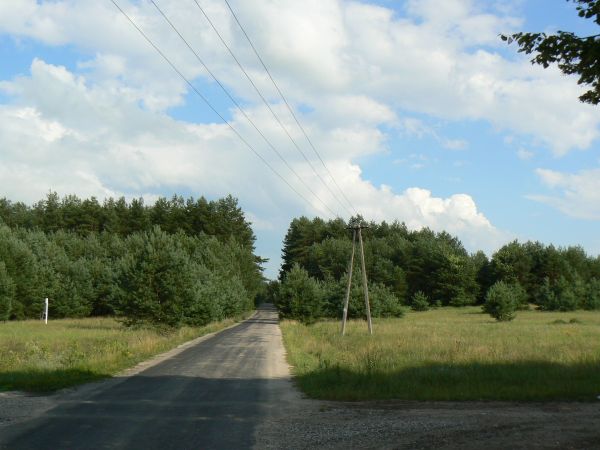 zdjecie Tyniewicze Duże