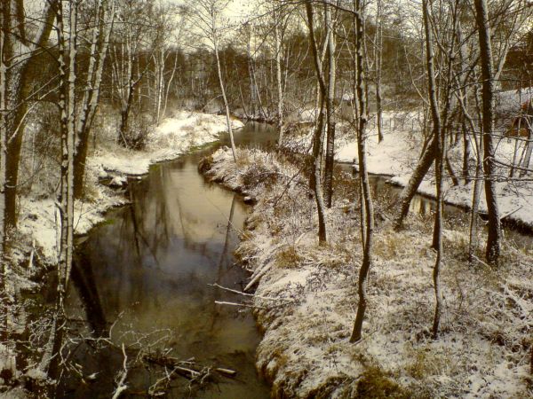 Rzeka Czarna Nida zimą 2010