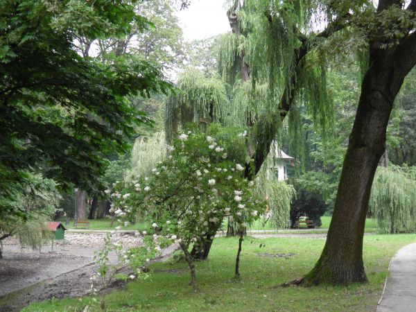 Park i Chiński Domek.