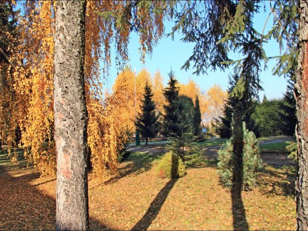 Kościół pw. św. Mikołaja i Stanisława biskupa w Jarosławiu przy ulicy Benedyktyńskiej. Przez starszych mieszkańców zwany Anna Kasarnia, został zbudowany w latac