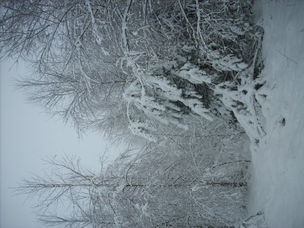 zdjecie Piłatowszczyzna