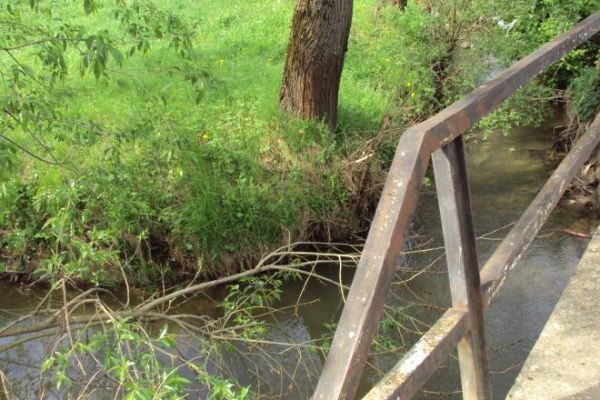 potok Pijawka - co to od wsi Raczkowa i Falejówka /są galerie - zapraszam/ - tu do potoku Rusawa spływa - a ten potok od wsi Strachocina i Jurowce /są  galerie